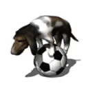 Дмитрий98_inactive61648