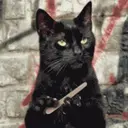 BadCatNyaaa
