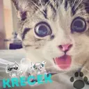 ♥Krecek♥