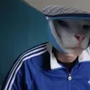 S4nt1n3l