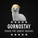 Gornostay_68371