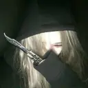 blw1337