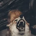 Am-
