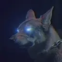 tkachygan