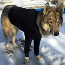 пен_inactive90115