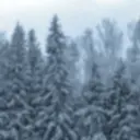 Dima777_Rus