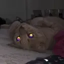 TOFBEAST