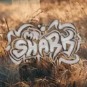 MrSharkTV2281337