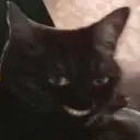 Dooda