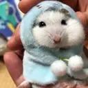 Фиолетовый_inactive118377