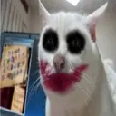 tonerxdd