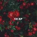 ALKAFEU__