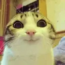 hruutsa