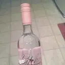 IcaIg