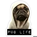 Dr.Mops