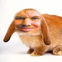 QWER112