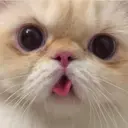 qeqly