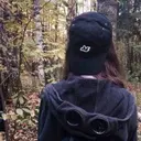 StyleBandit