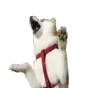 FaerMax