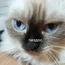 Убро