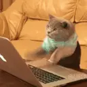 danilozzz