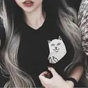 null_lolo