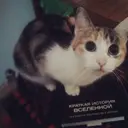 vadgay