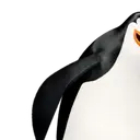 ErkRain