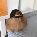 MAKC_79