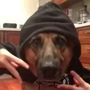 RollinInDeep