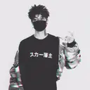 scarIxrd_inactive233929