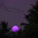 qqqqqqqqqqqqqqq