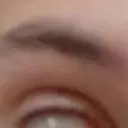 Bauerrr