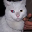 seti3001