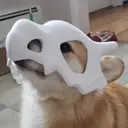 lator_aga