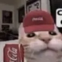 mishavacation