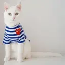 KLSVNAX