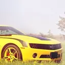 renameduser_333548
