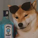 RoboKot