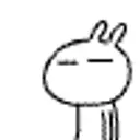 Lolz profile picture for @birding