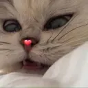 KoZzMiX