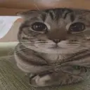 MurderCinema