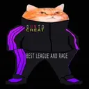 dissarey