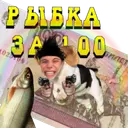 LolzMaxsuta