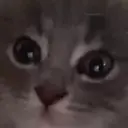 5050