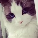 Hyppers