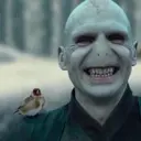 DanLev