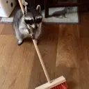 klawz
