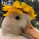 MrGreg.exe