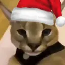 Lapkomo2018